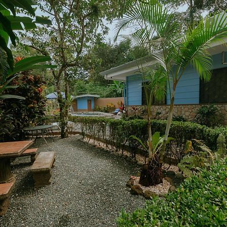Oasis Diverse Adult Retreat Quepos Kültér fotó